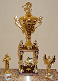 Wanderpokal "Großer Preis der Gemeinde Graben-Neudorf" -
Ehrenpreise für das beste Mädchen, den besten Jungen des Turniers 2013